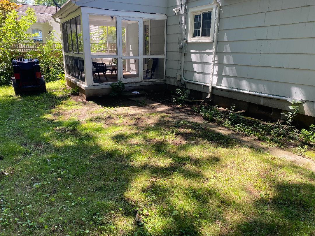 Before 2 - Image 1