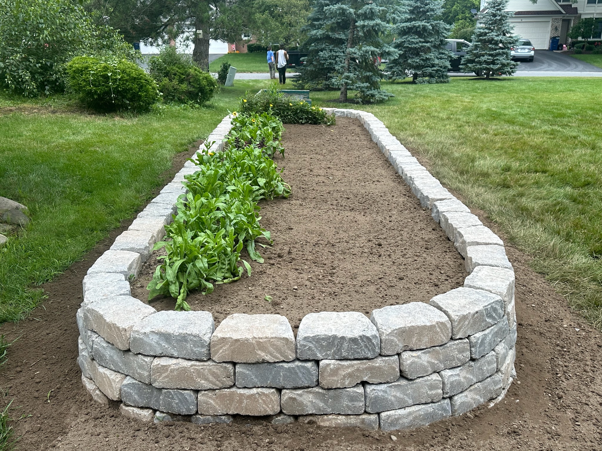 Before 4 - Image 3