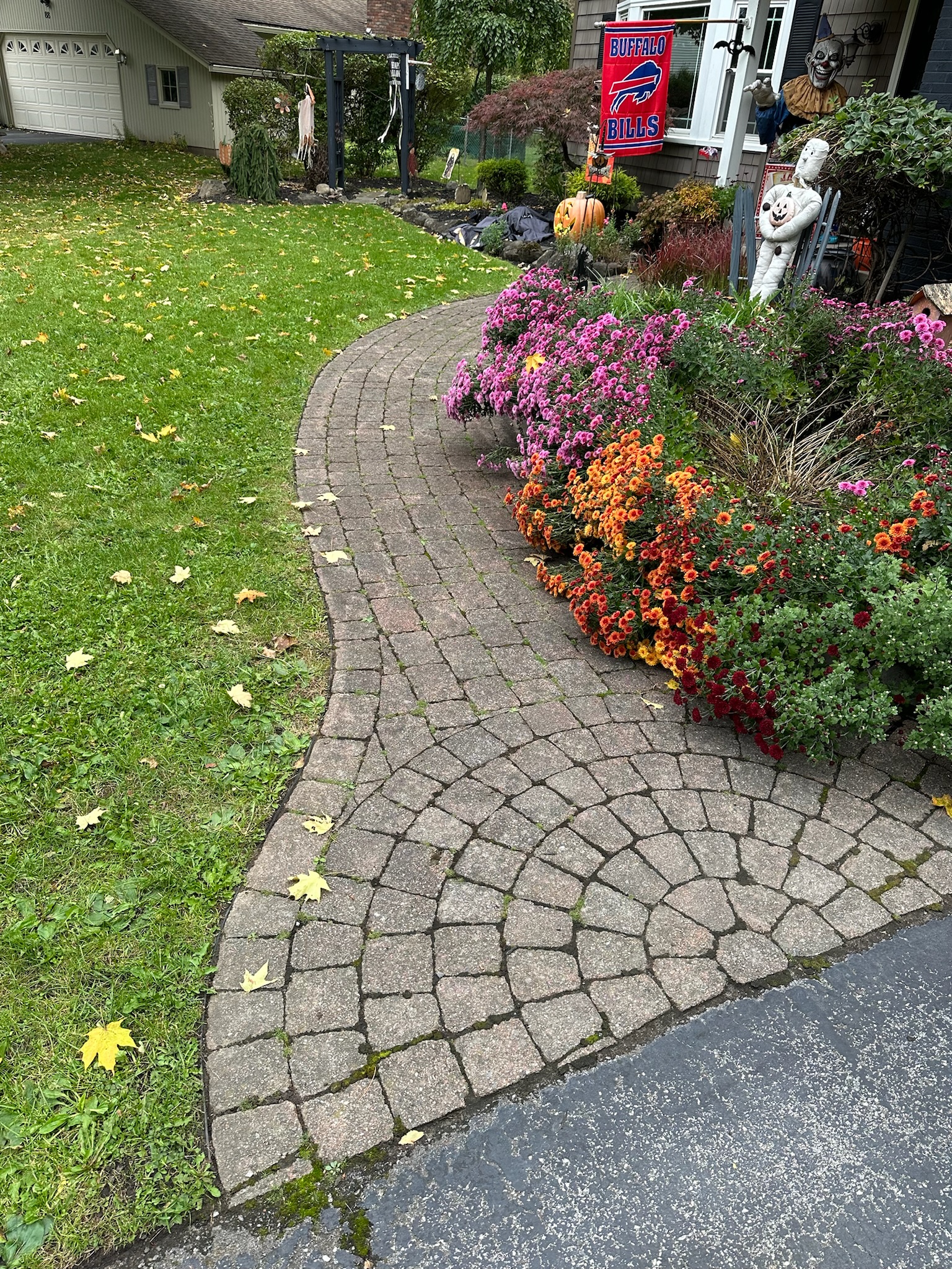 Before 1 - Image 1
