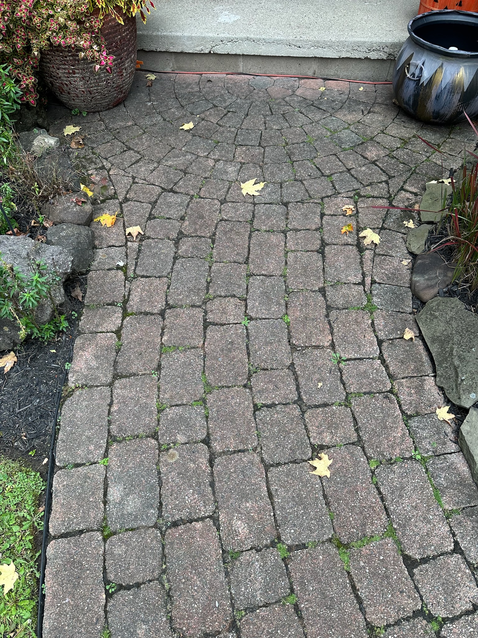 Before 1 - Image 2